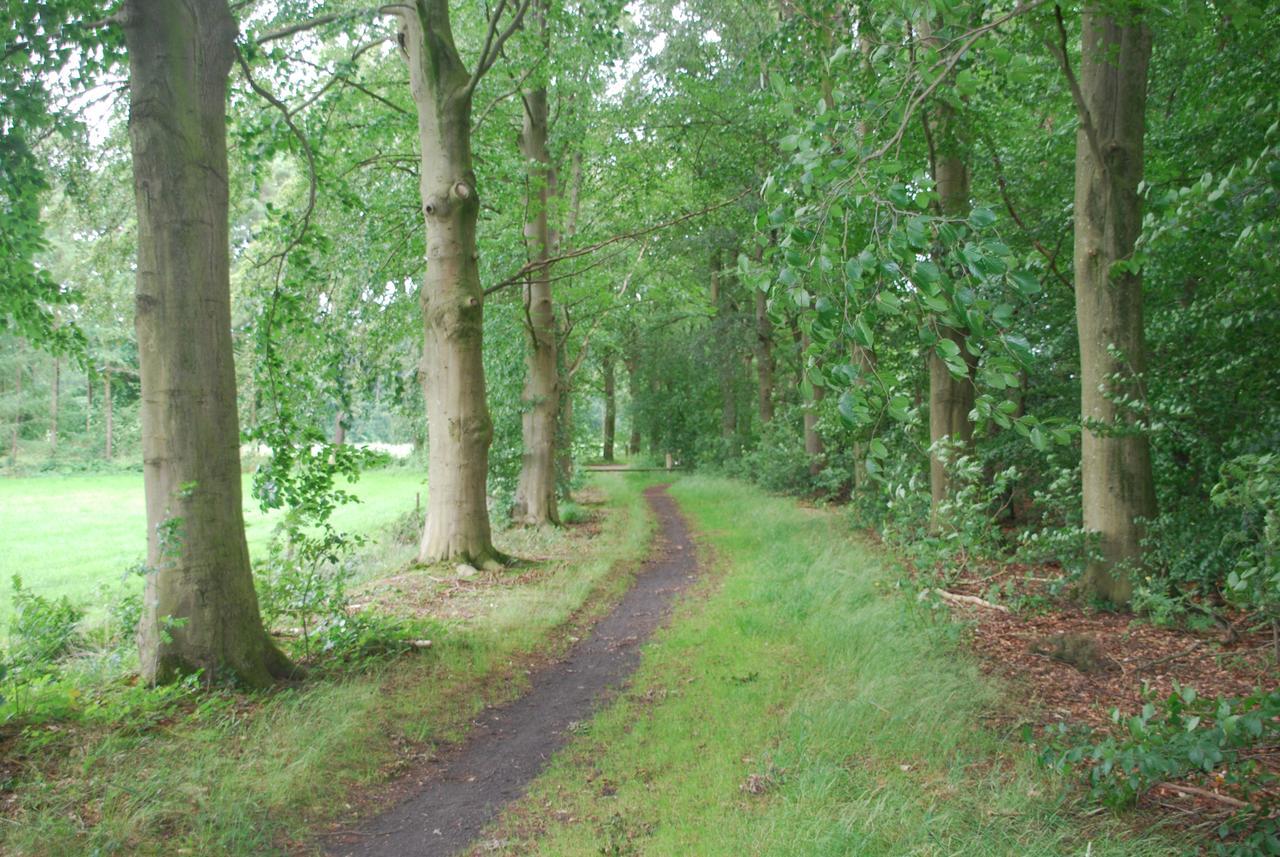 Villa De Hagmolenbeek Boekelo Esterno foto