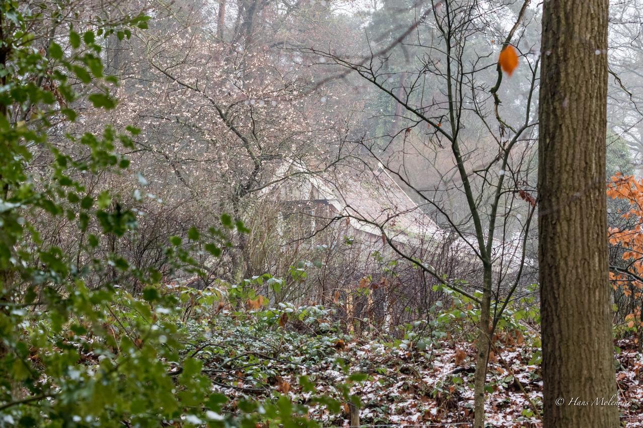 Villa De Hagmolenbeek Boekelo Esterno foto